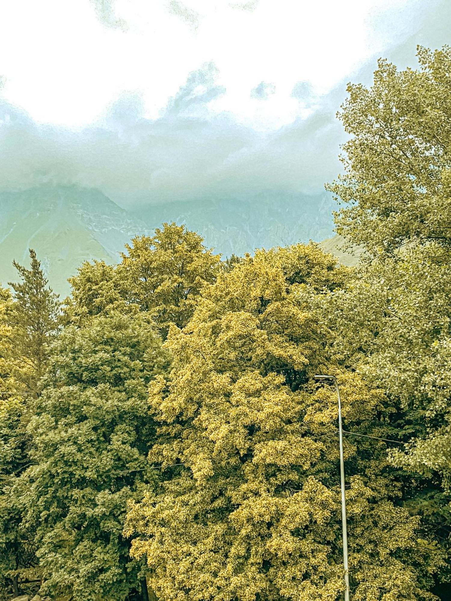 Hotel Gold Kazbegi Luaran gambar